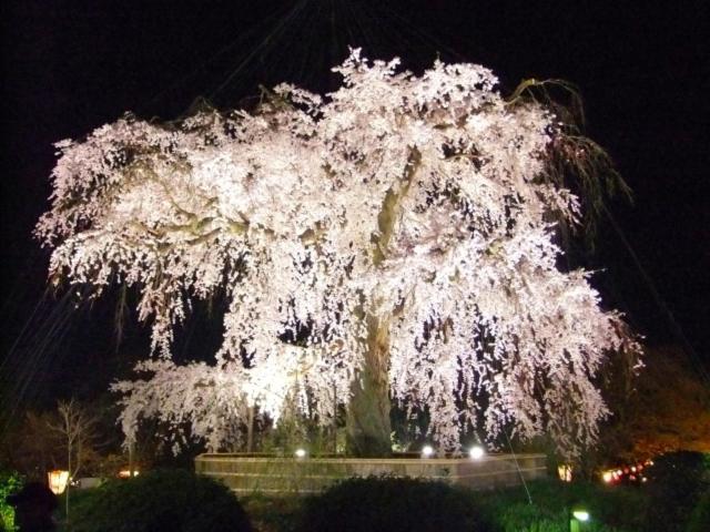 Rejoice Stay Kyoto Nijo Gekko Экстерьер фото